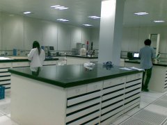 國內哪家恒溫恒濕實驗室工程公司專業(yè)？