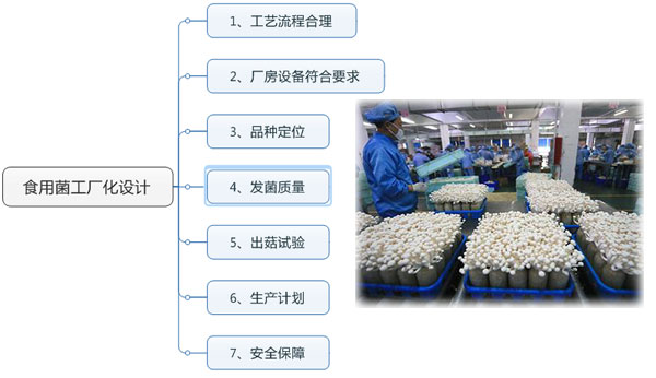 食用菌工廠化需要注意的七點